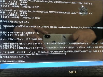 コマンドプロンプトでdism /image:C:\ /remove-package /packagename:の画面