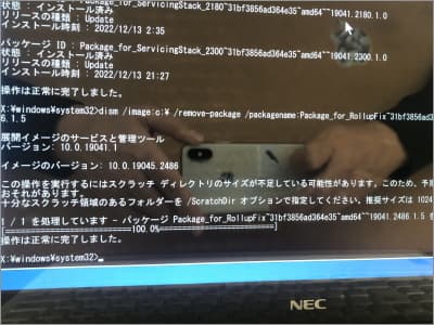 コマンドプロンプトでdism /image:C:\ /remove-package /packagename:の画面