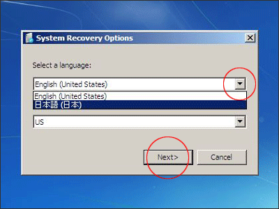 System Recovery Options