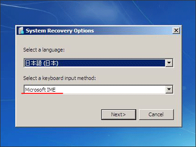 System Recovery Options