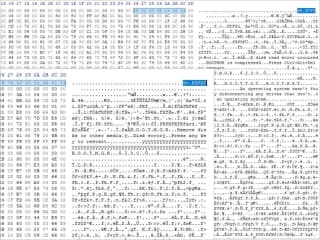 NTFSとexFATのバイナリを表示