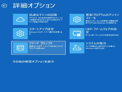 詳細オプション画面